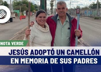Jesús y su familia adoptaron un camellón con permiso del Ayuntamiento de Hermosillo