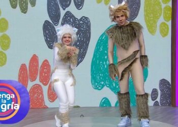 Celebramos el Día del Gato con algunas razas de felinos en el foro. | Venga La Alegría