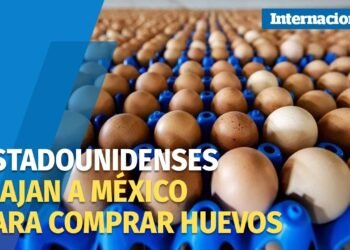 Estadounidenses se ven empujados a comprar huevos en México debido a la gripe aviar y la inflación