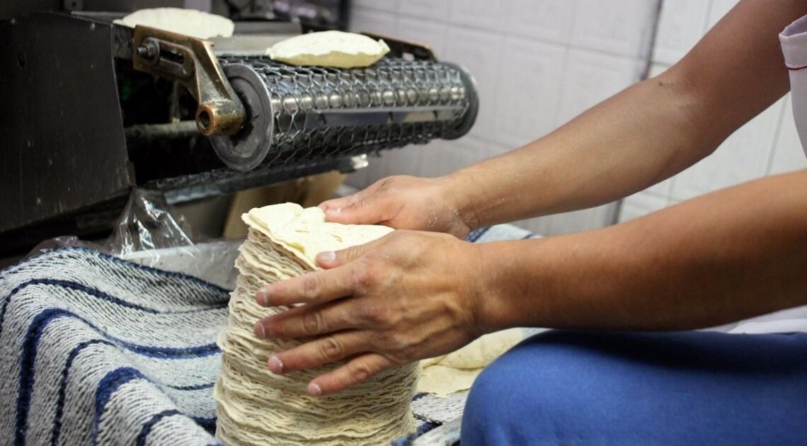 Tiene Hermosillo uno de los precios más altos en tortillas Tiene Hermosillo uno de los precios más altos en tortillas