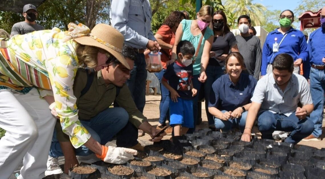 Hermosillo: Regalarán 500 plantas nativas en el Vívero Municipal