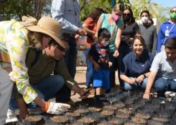 Hermosillo: Regalarán 500 plantas nativas en el Vívero Municipal