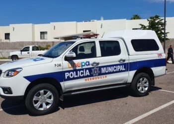 Hermosillo: Multas de hasta 5 mil pesos aplicarán a dueños irresponsables de mascotas