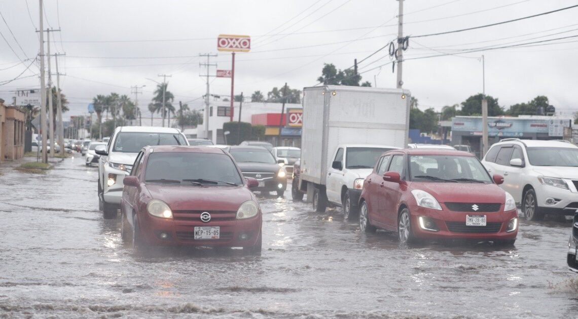 Hermosillo: Cidue anuncia más trabajos por la calle Reforma ¿Cuánto tiempo estará cerrada la circulación? Hermosillo: Cidue anuncia más trabajos por la calle Reforma ¿Cuánto tiempo estará cerrada la circulación?