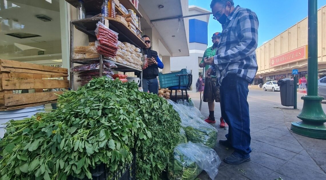 Ya hay en venta verduras de la región en el centro de Hermosillo