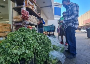 Ya hay en venta verduras de la región en el centro de Hermosillo