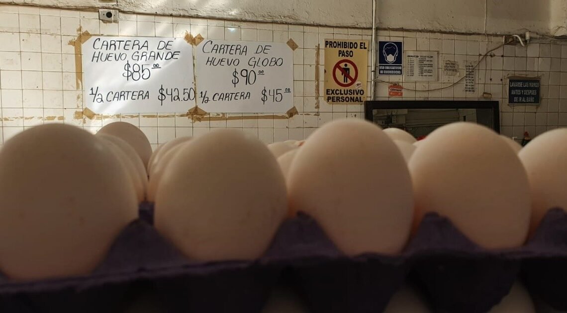 Sube precio del huevo 6.25% en la semana en Navojoa Sube precio del huevo 6.25% en la semana en Navojoa
