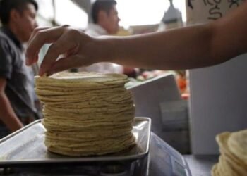 Tortilla de maíz podría tener nuevo aumento de precio: Canacope Hermosillo