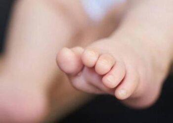 Bebé abandonada en Sinaloa; fue encontrada en un monte