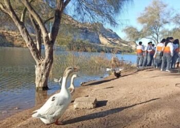 Día de los Humedales: hermosillenses celebran en La Sauceda