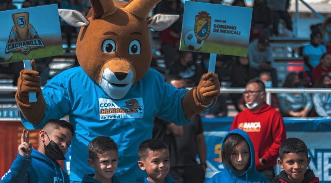 Segunda Copa de la Amistad 2023 del Colegio Alerce define a sus campeones Segunda Copa de la Amistad 2023 del Colegio Alerce define a sus campeones