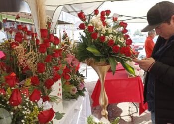 El amor revive las ventas en comercios del centro de Navojoa