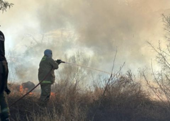Incendio de maleza en La Sauceda moviliza a Bomberos