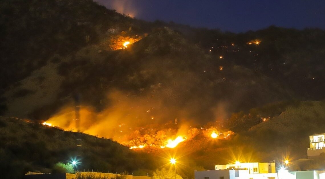 Hermosillo: Incendios en cerros dejan daños irreversibles