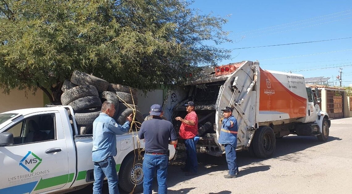 Domingo del Tilichero recoge hasta 5 toneladas