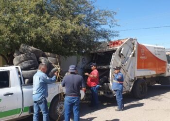 Domingo del Tilichero recoge hasta 5 toneladas