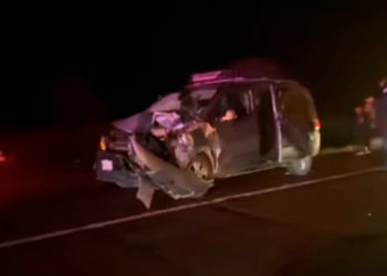 Mueren dos vacas por accidente en la Hermosillo-Bahía de Kino
