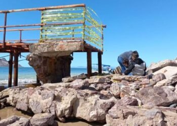 Piden rehabilitar el muelle de Bahía de Kino