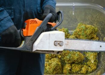 De la mota a la motosierra luego de que su hermana le pidiera dejar de fumar