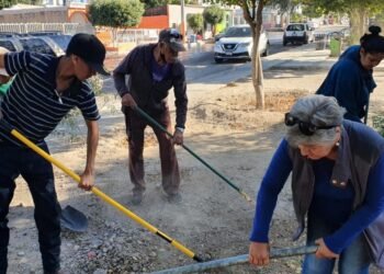 Hermosillo: Inician huerto en parque de la Lomas de Madrid