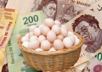 El precio del huevo se empieza a estabilizar: Sader