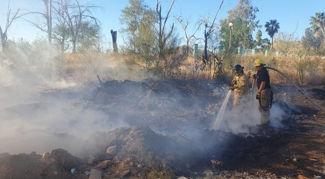Incendio en la Sauceda moviliza a Bomberos de Hermosillo para controlarlo