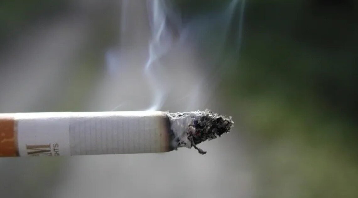 Restauranteros inician 25 amparos contra el reglamento del tabaco