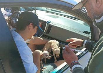 Jornada de vacunación antirrábica drive thru en Hermosillo