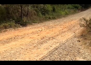 Vecinos de Calle Aeropuerto en Pérez Zeledón preocupados por estado de la calle