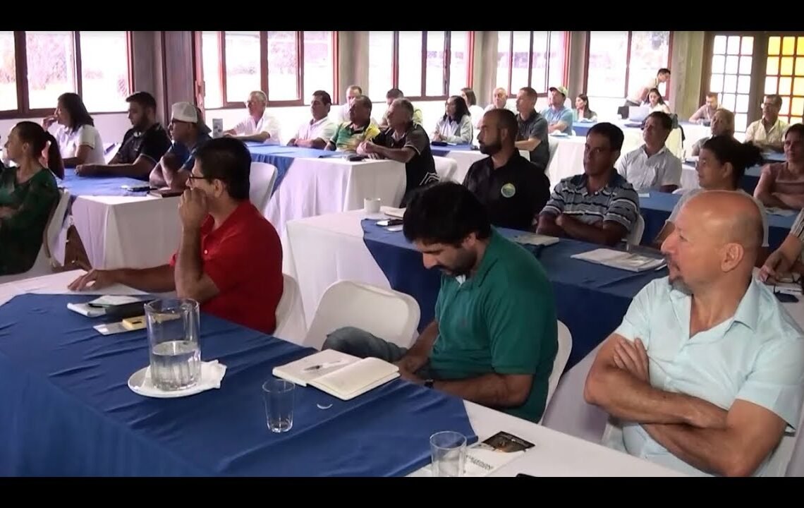 Cooperativas de la Región Brunca participaron en un foro sobre la ruta del cáñamo