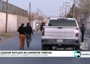 Cadáver mutilado en colonia campestre virreyes