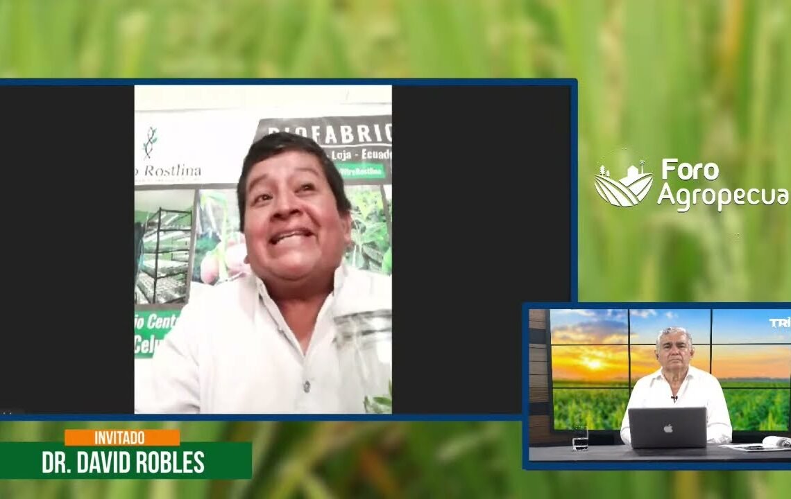 🚨 #EnVivo || Foro Agropecuario junto a Leonardo Escobar || Invitado del Dr. David Robles