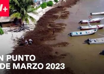 En Punto con Enrique Acevedo – Programa completo: 9 de marzo 2023