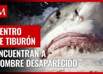 Hombre es encontrado muerto dentro de un tiburón en Chubut, Argentina