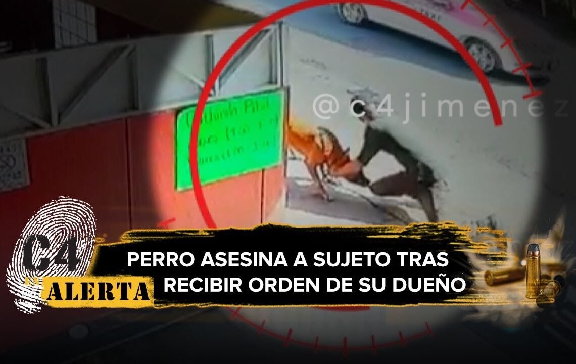 Perro mata a hombre en la GAM; dueño le ordenó que lo atacara tras discusión