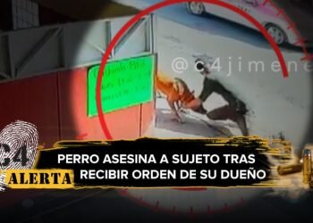 Perro mata a hombre en la GAM; dueño le ordenó que lo atacara tras discusión