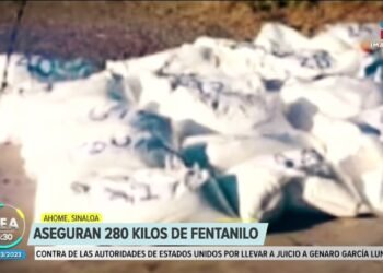 Aseguran cargamento de 280 kilos de fentanilo en Ahome, Sonora | Noticias con Francisco Zea