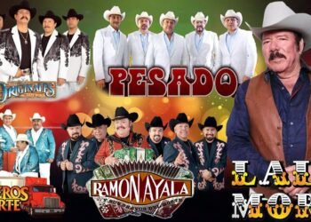 Invasores de Nuevo León, Ramon Ayala, Traileros Del Norte, Cardenales, Huracanes del Norte, Pesado