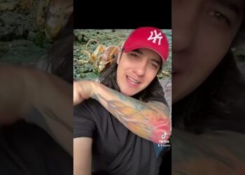 Mi experienxia con el famoso Mata Venados o Stenopelmatus o cara de Niño
