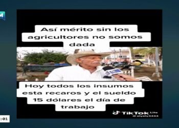 FORO TVM BAJO FUEGO
