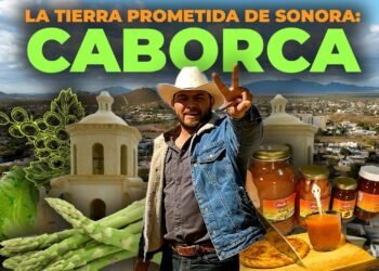 ¿La tierra PROMETIDA de Sonora es Caborca? | El COMERCIO del pueblo y la producción de frutos.
