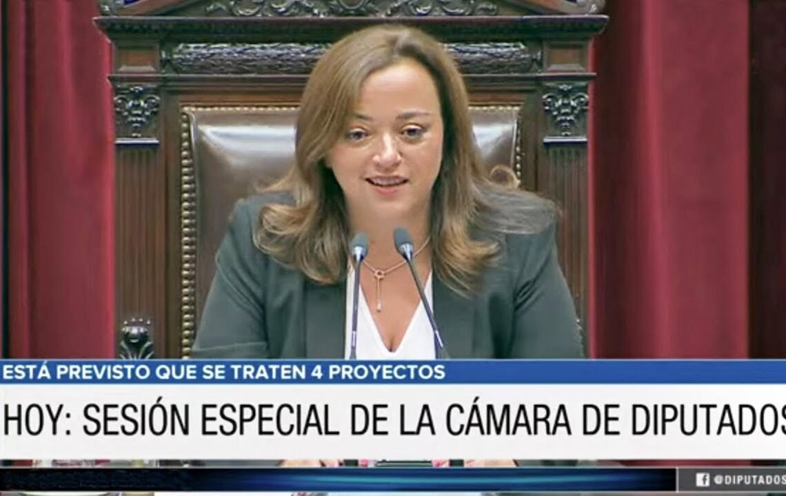 🇦🇷 SESIÓN COMPLETA: 28 de marzo de 2023 – Diputados Argentina