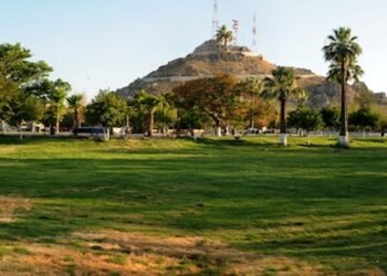 Realizan en Panteón Yáñez estudio de calidad del aire a través de plantas
