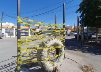 Tres notas que no te puedes perder