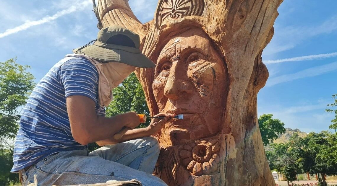 VIDEO Y FOTOS | Hermosillo: Mario Alejandro transforma naturaleza muerta en una obra de arte