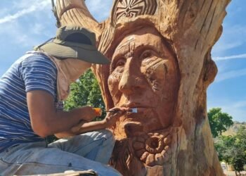 VIDEO Y FOTOS | Hermosillo: Mario Alejandro transforma naturaleza muerta en una obra de arte