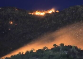 Invitan a jornada de rehabilitación del Cerro Johnson este fin de semana