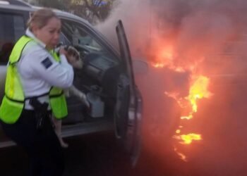 Rescata Tránsito a canino en incendio