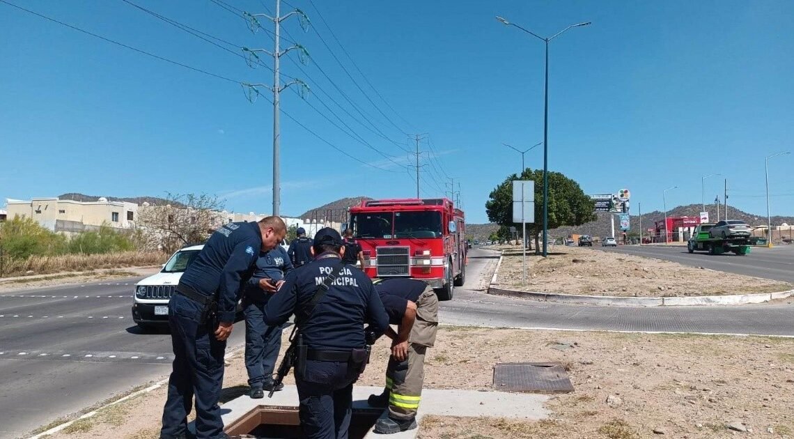 FOTOS | Rescatan a perrito que cayó en alcantarilla en la colonia Villa Colonial de Hermosillo FOTOS | Rescatan a perrito que cayó en alcantarilla en la colonia Villa Colonial de Hermosillo