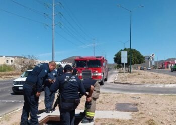 FOTOS | Rescatan a perrito que cayó en alcantarilla en la colonia Villa Colonial de Hermosillo